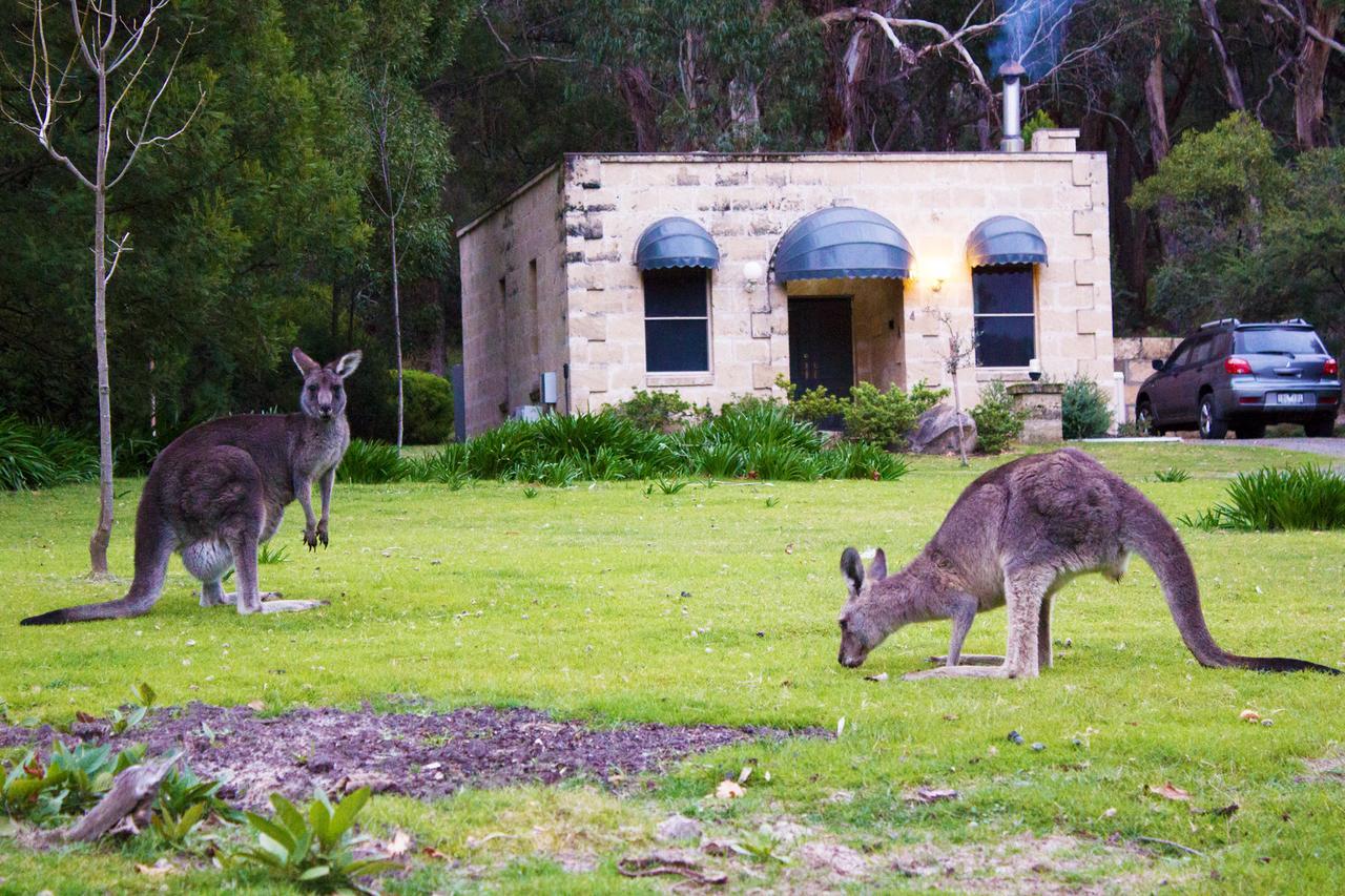Marwood Villas Halls Gap Exterior foto
